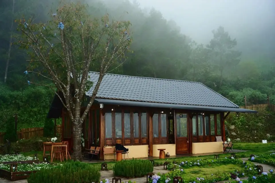 Lili Mountain – Tiệm cà phê Tử Tế – ảnh 1