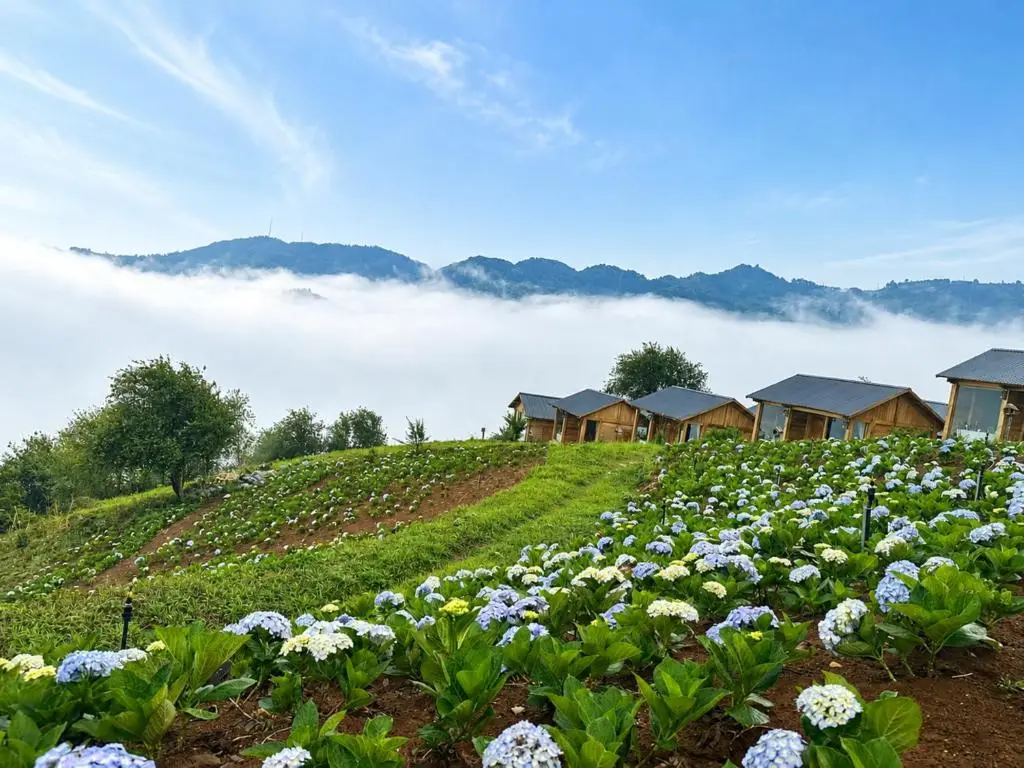 Samu Retreat – ảnh 5