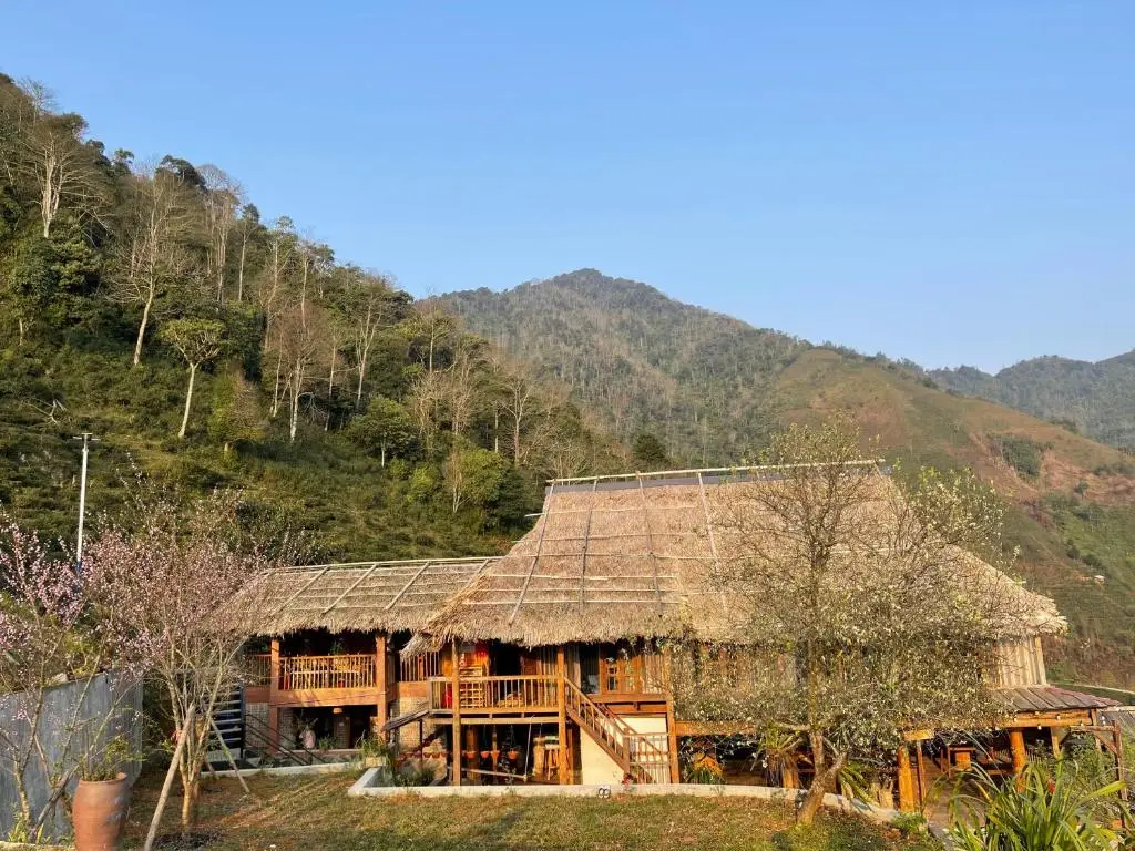 Tà Xùa Ecolodge – ảnh 6