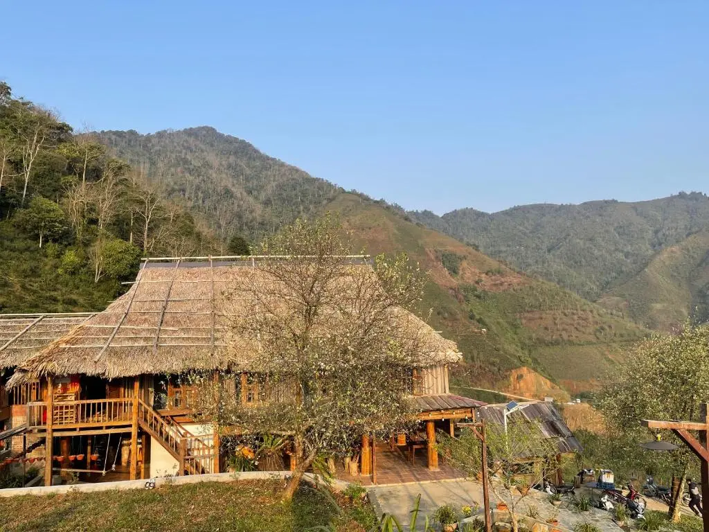 Tà Xùa Ecolodge – ảnh 28