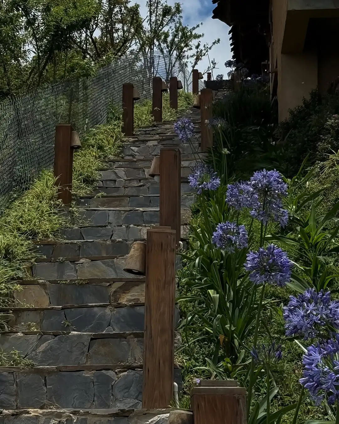 MiAmi Mountain Retreat – ảnh 13