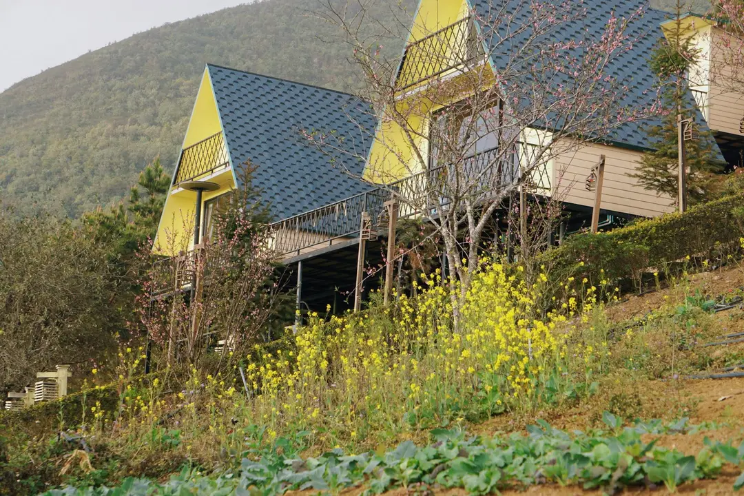Đom Đóm Homestay – ảnh 2