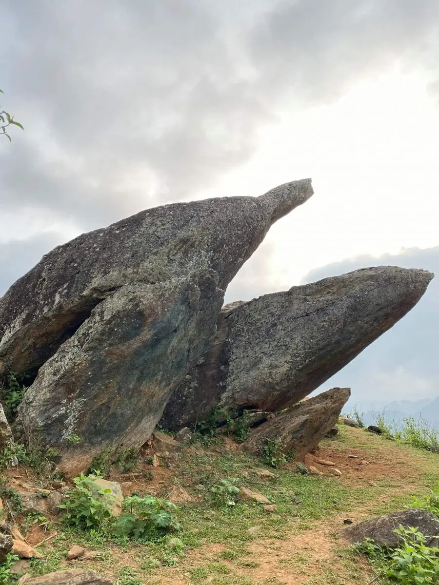 Mỏm Cá Heo – ảnh 6