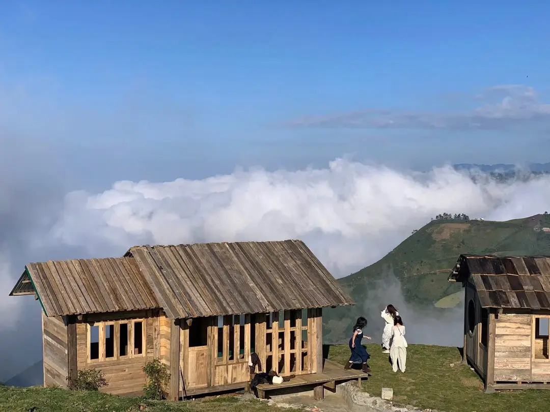 Ameii Hill – ảnh 2