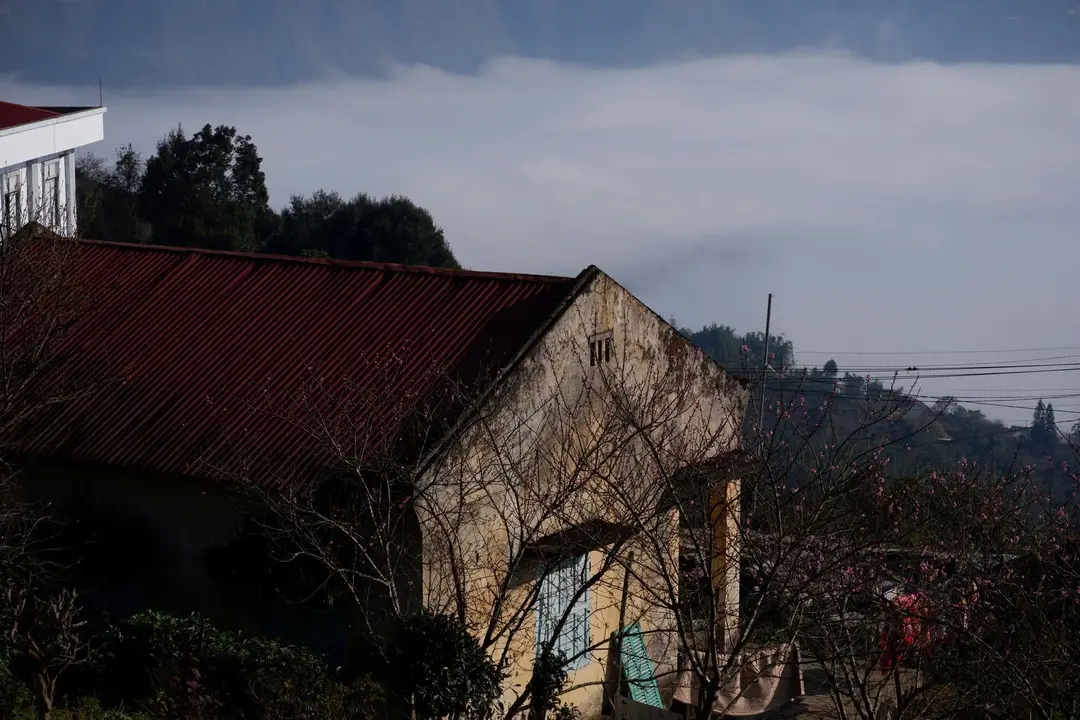 Mon's House – ảnh 14