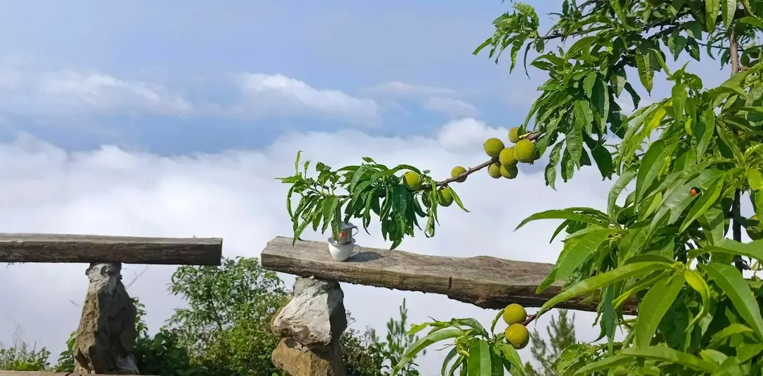 Tà Xùa Lu Trế – ảnh 2