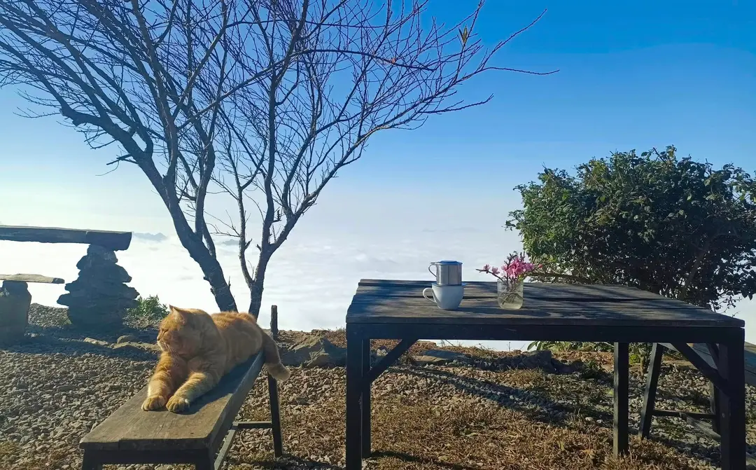 Tà Xùa Lu Trế