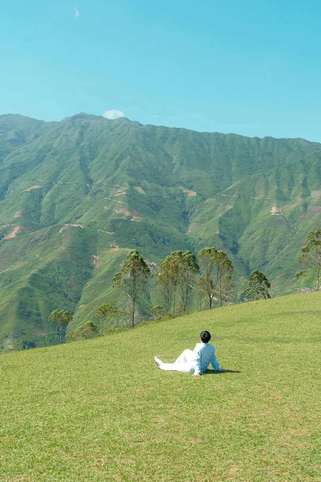 Ng Đăng Nam