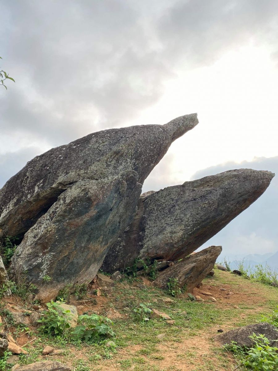 Mỏm Cá Heo 6