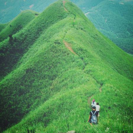 Sống Lưng Khủng Long 3