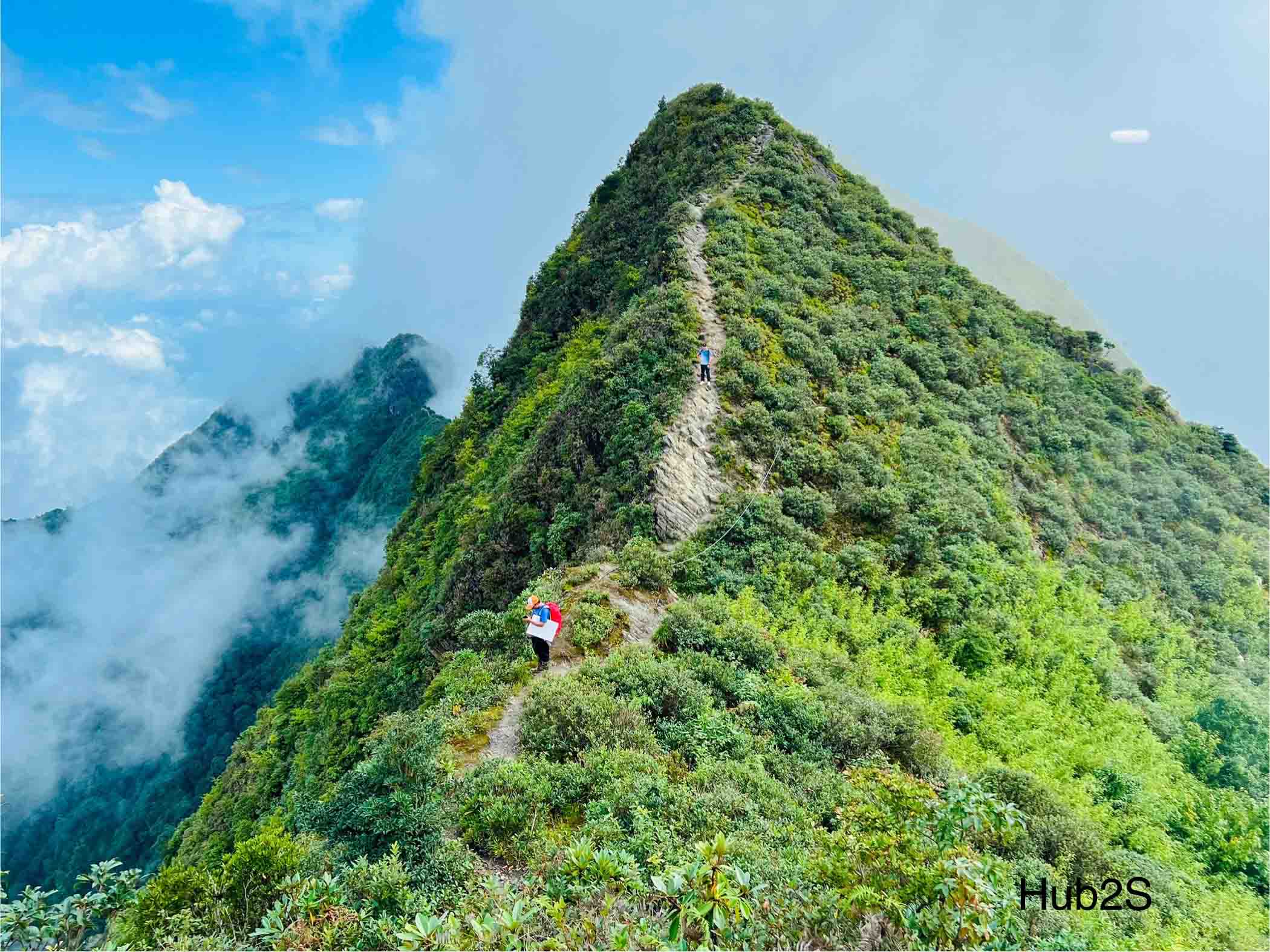 Sống Lưng Khủng Long 2