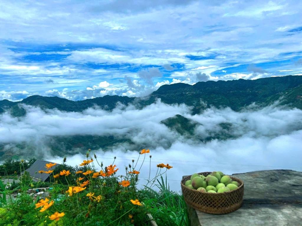 Nơi Ấy Homestay 8