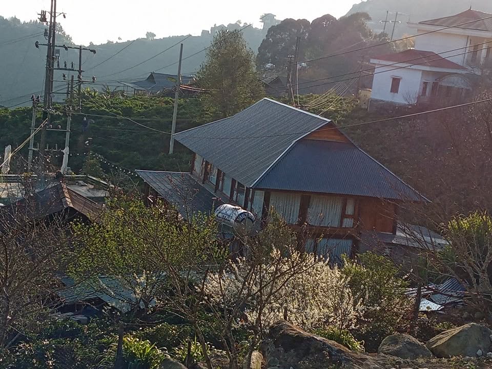 Mon's House 11