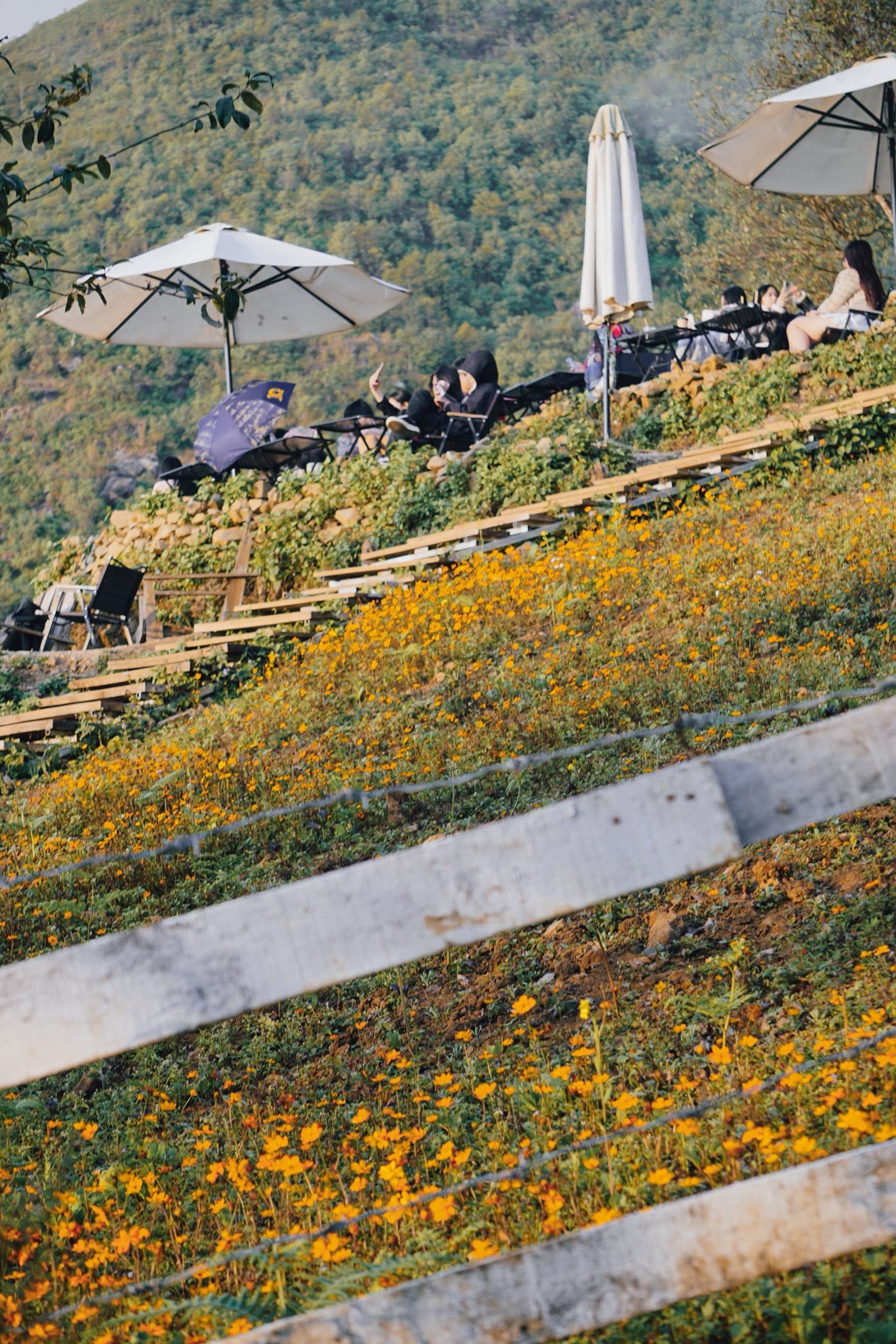 Tiệm Cà Phê Hoàng Hôn 7