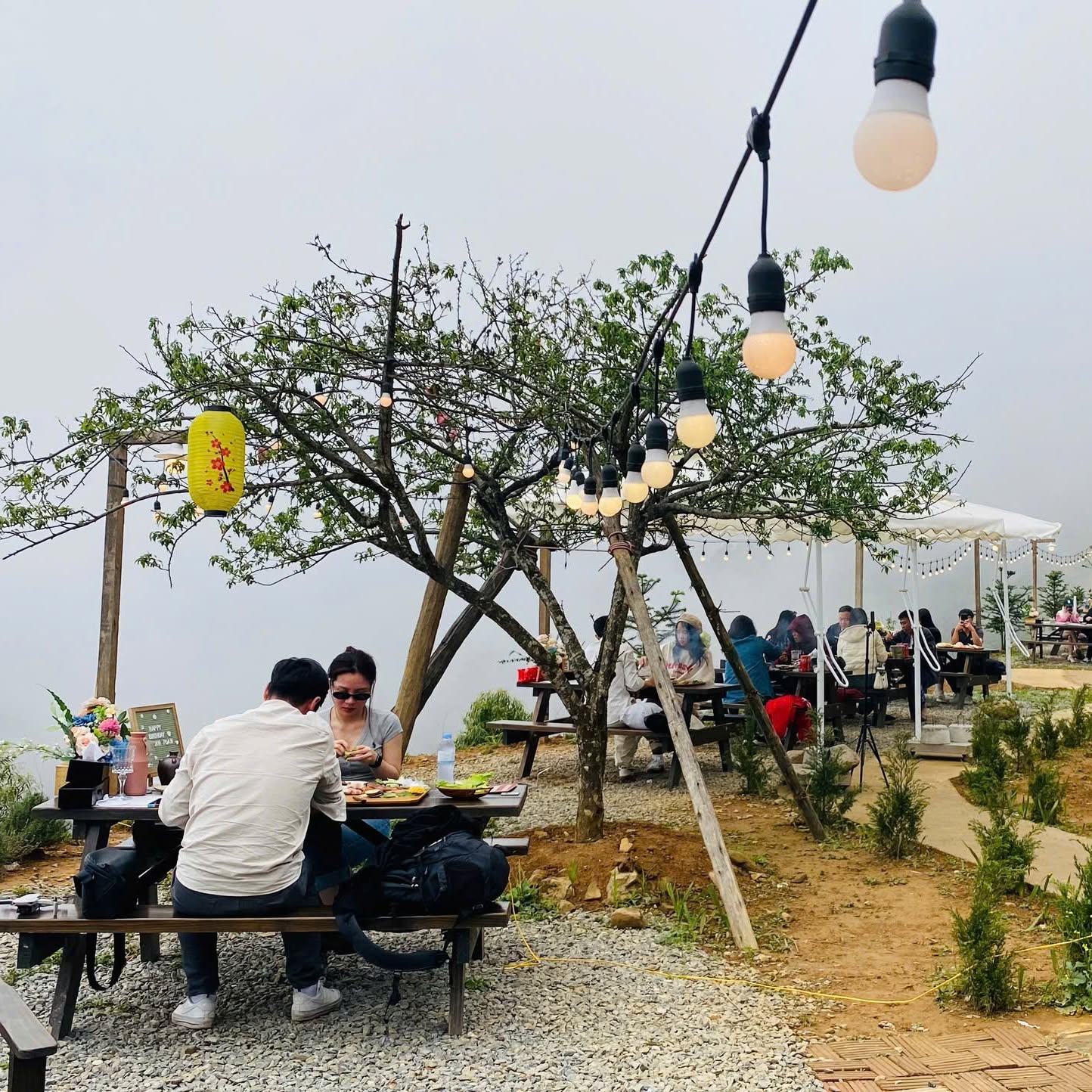 Trạm Mây Tà Xùa 5