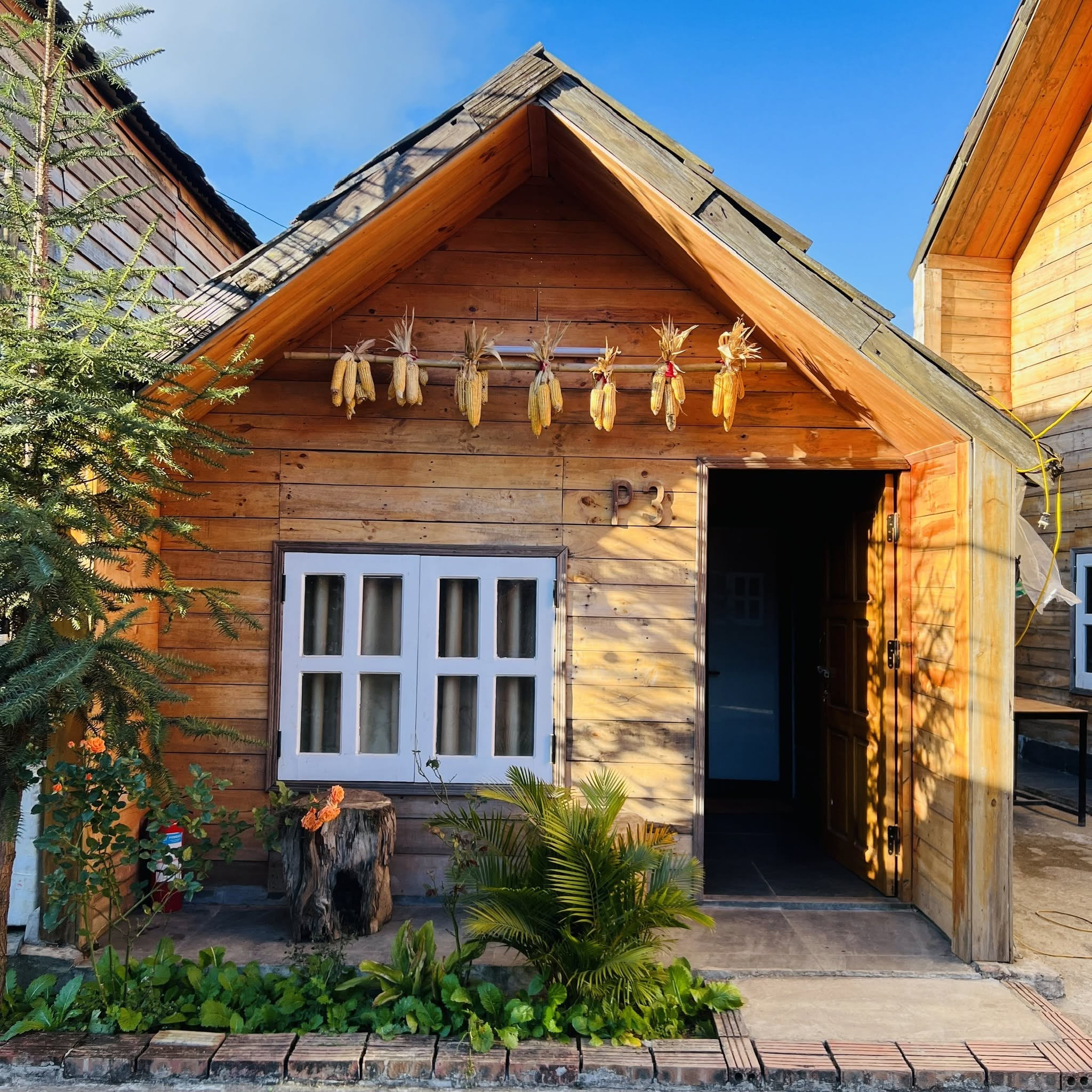 Homestay Tà Xùa Mùa Trứ 4
