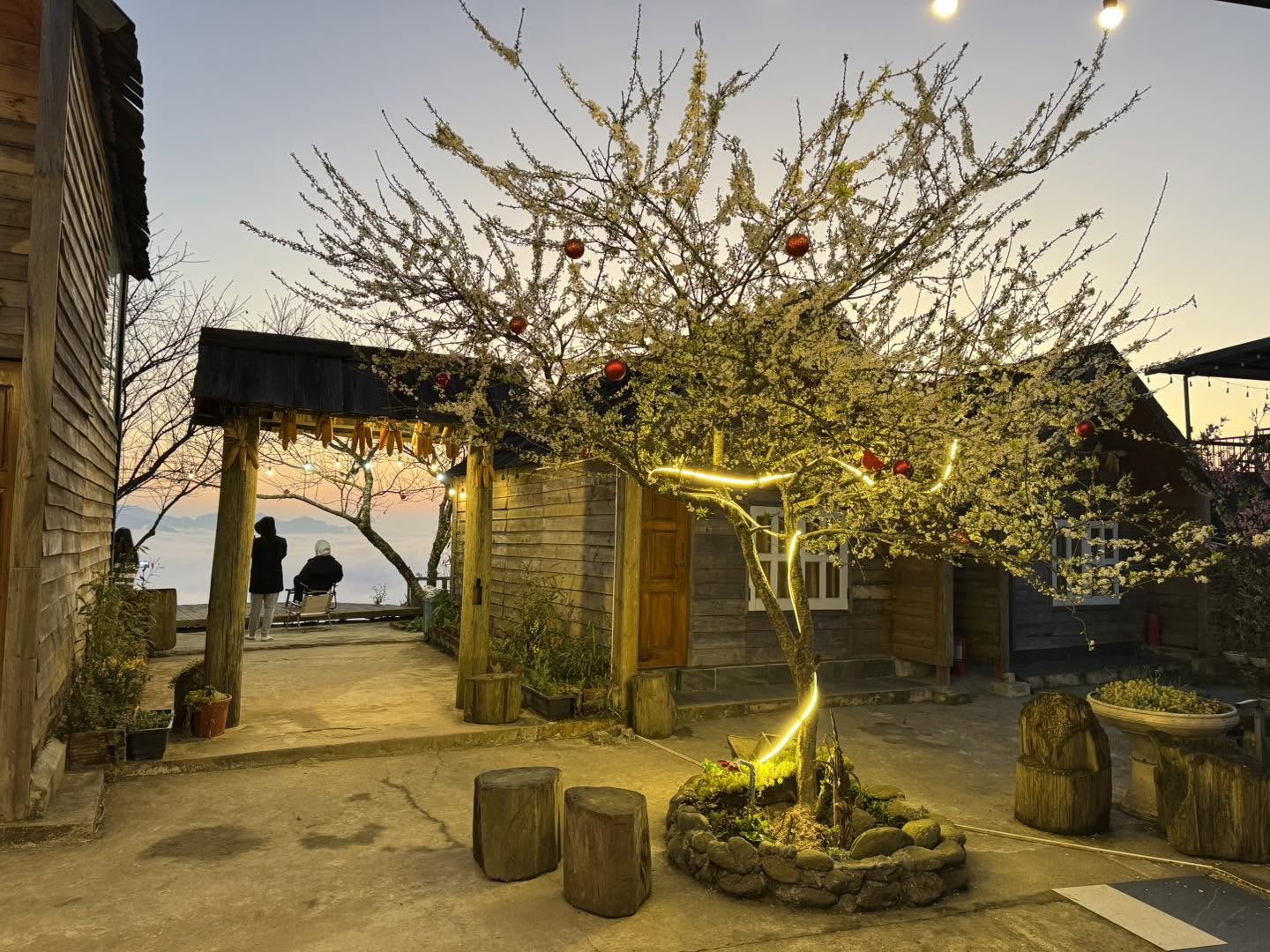 Homestay Tà Xùa Mùa Trứ 9