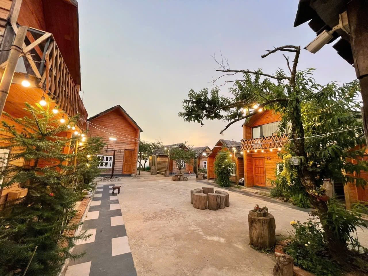 Homestay Tà Xùa Mùa Trứ 14