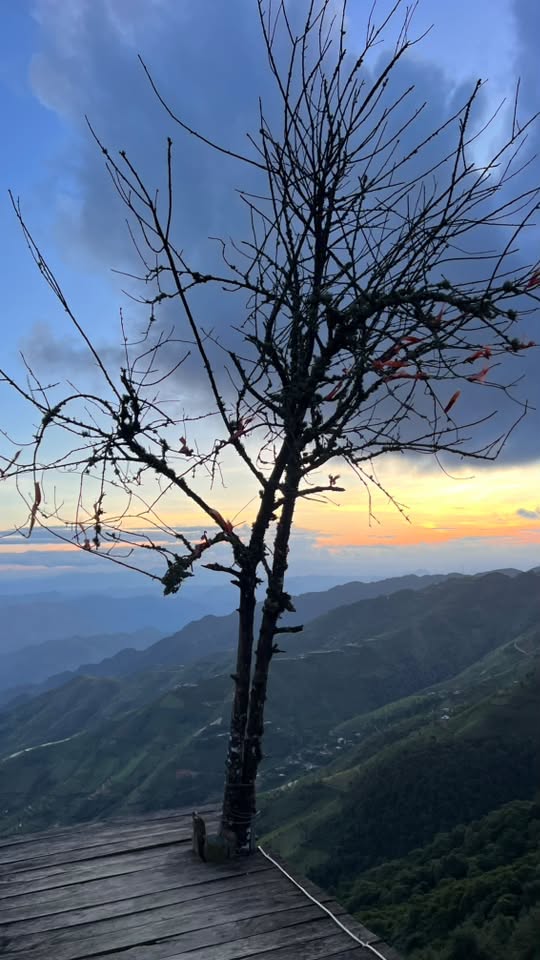 Cafe Làng Văn Hóa 6