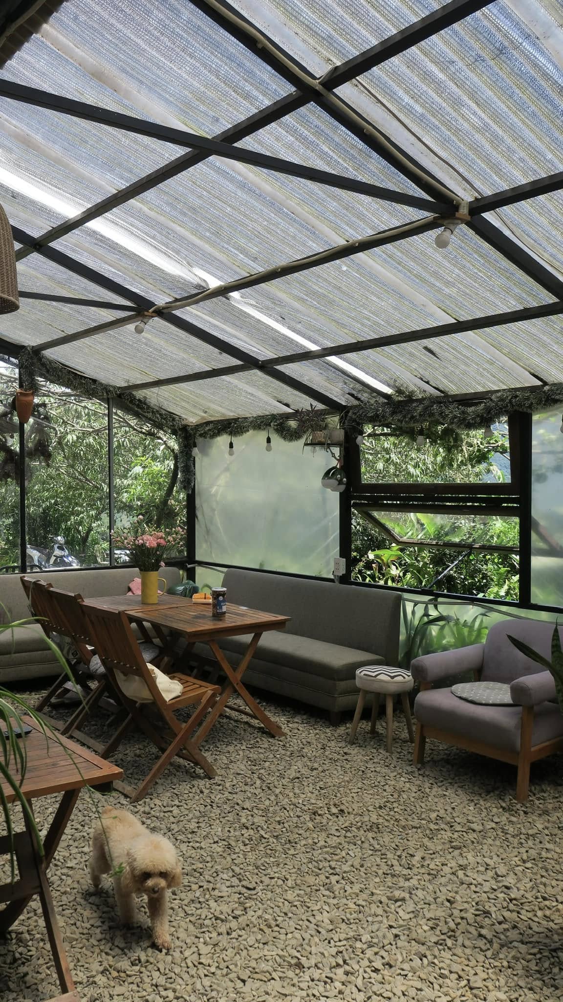 Lofi Homestay Tà Xùa 10