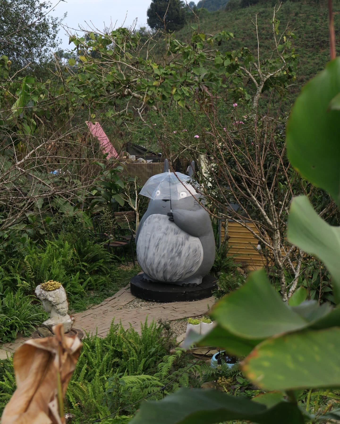 Lofi Homestay Tà Xùa 14