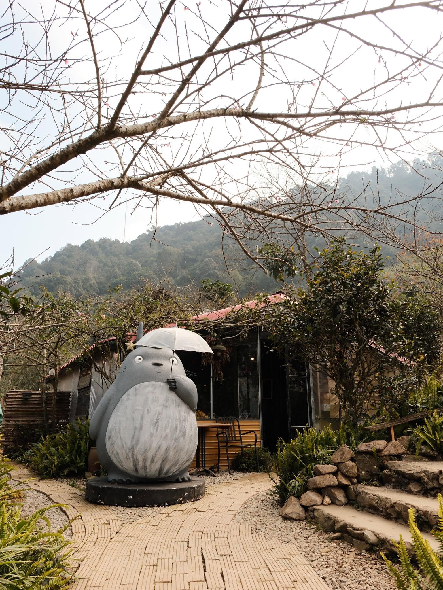 Lofi Homestay Tà Xùa 22