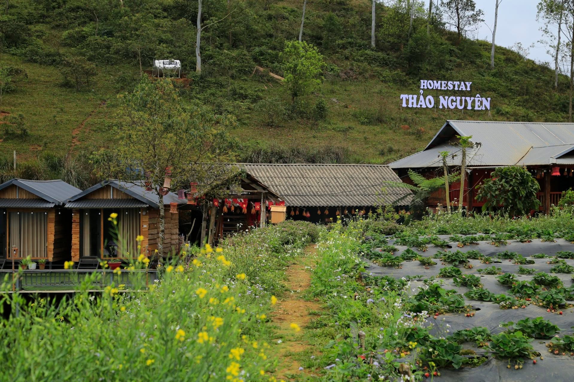 Homestay Thảo Nguyên Tà Xùa 3