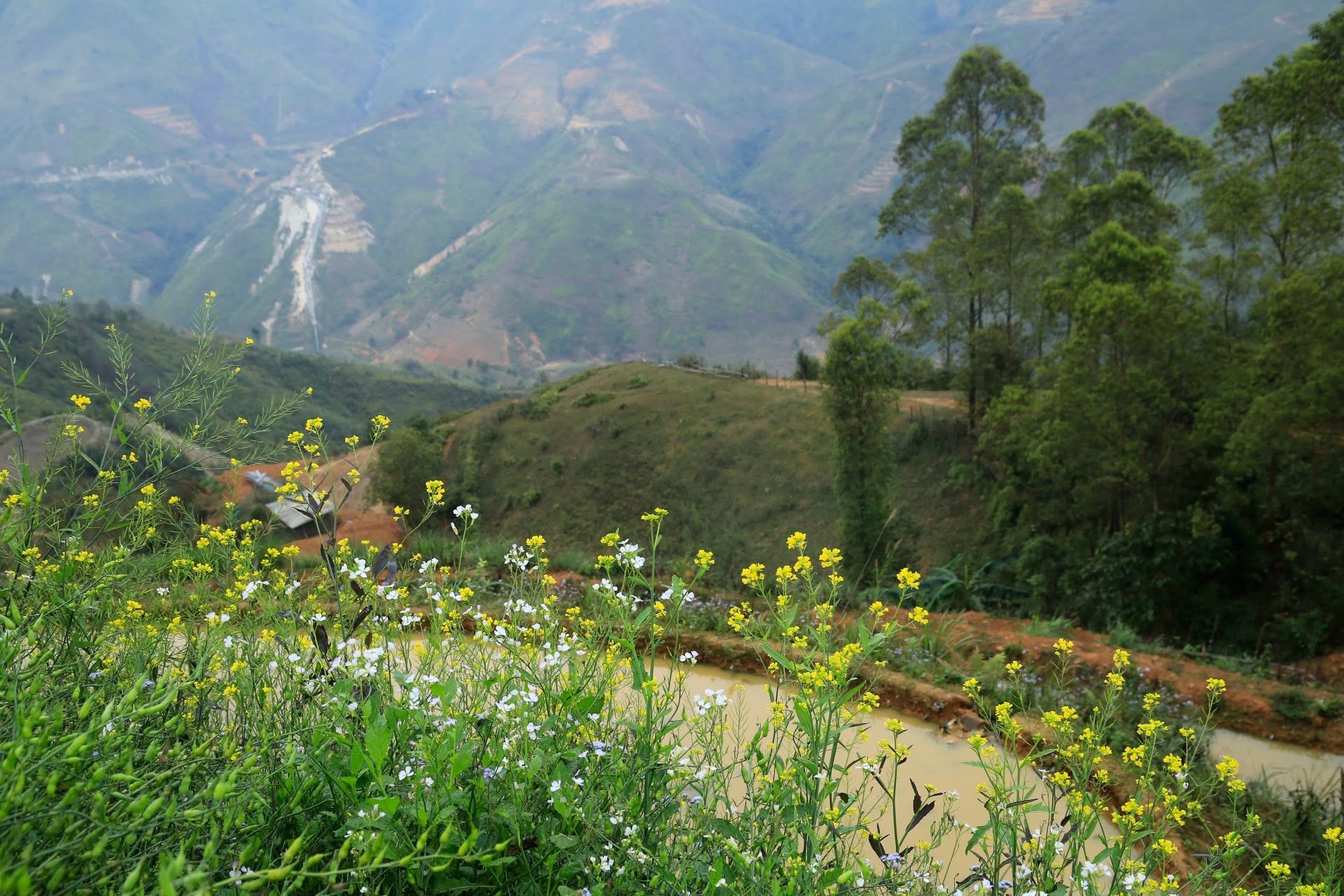 Homestay Thảo Nguyên Tà Xùa 4