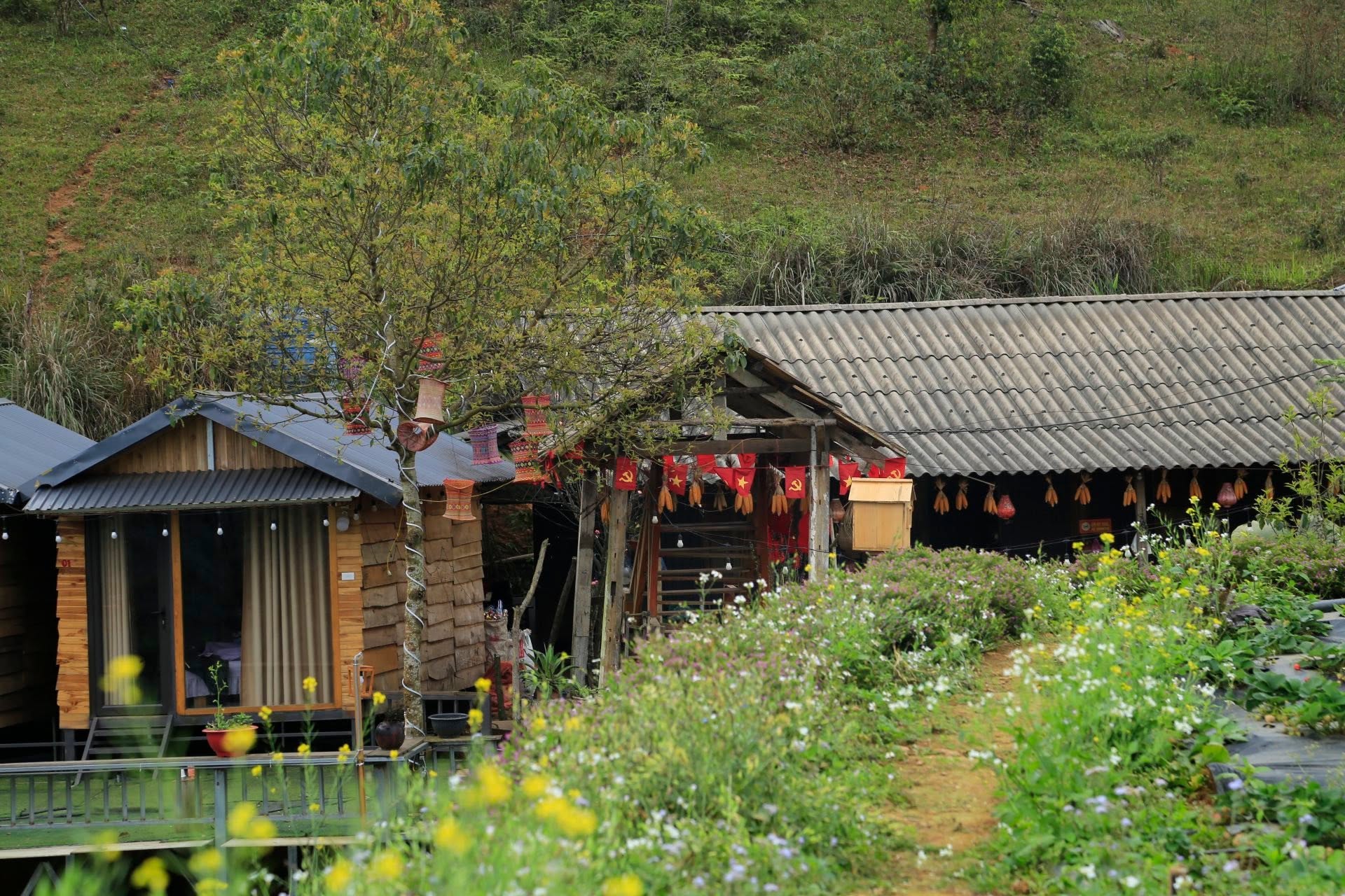 Homestay Thảo Nguyên Tà Xùa 6