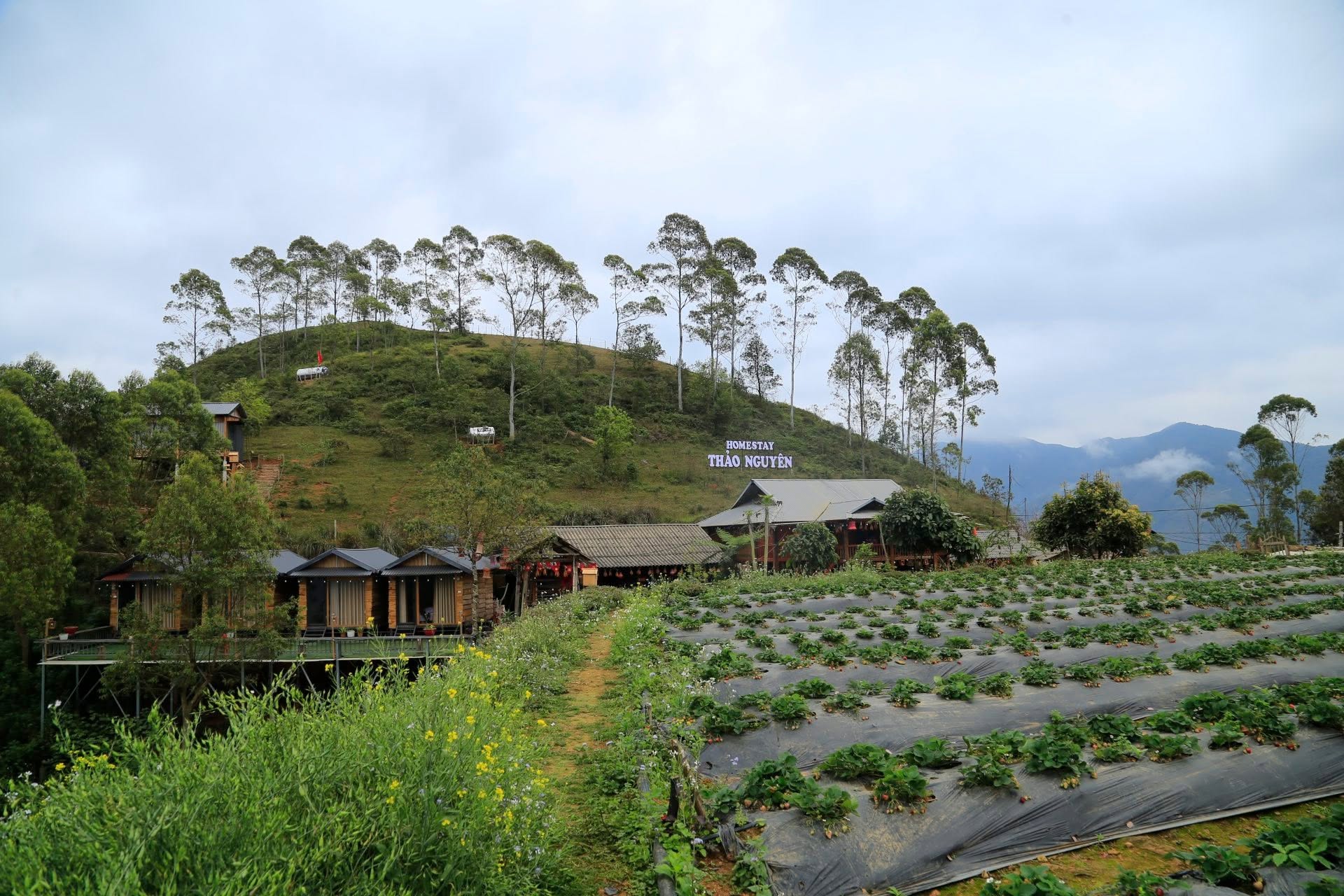 Homestay Thảo Nguyên Tà Xùa 7