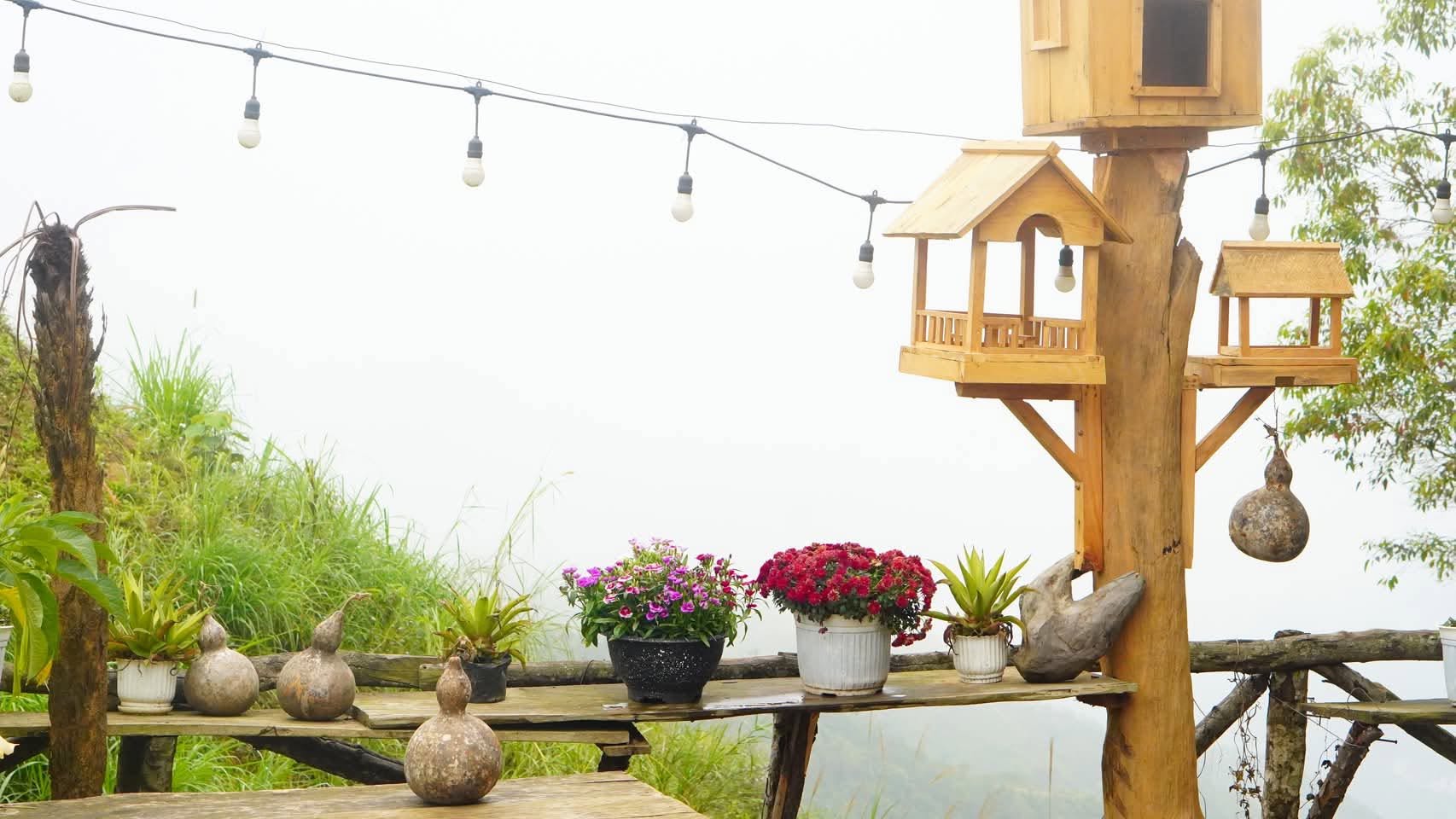 Homestay Thảo Nguyên Tà Xùa 8