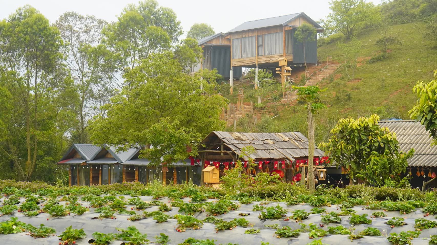 Homestay Thảo Nguyên Tà Xùa 10