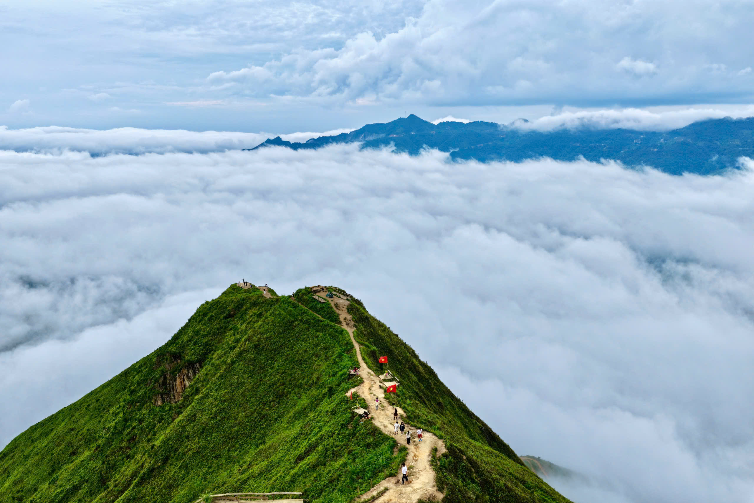 Sống Lưng Khủng Long