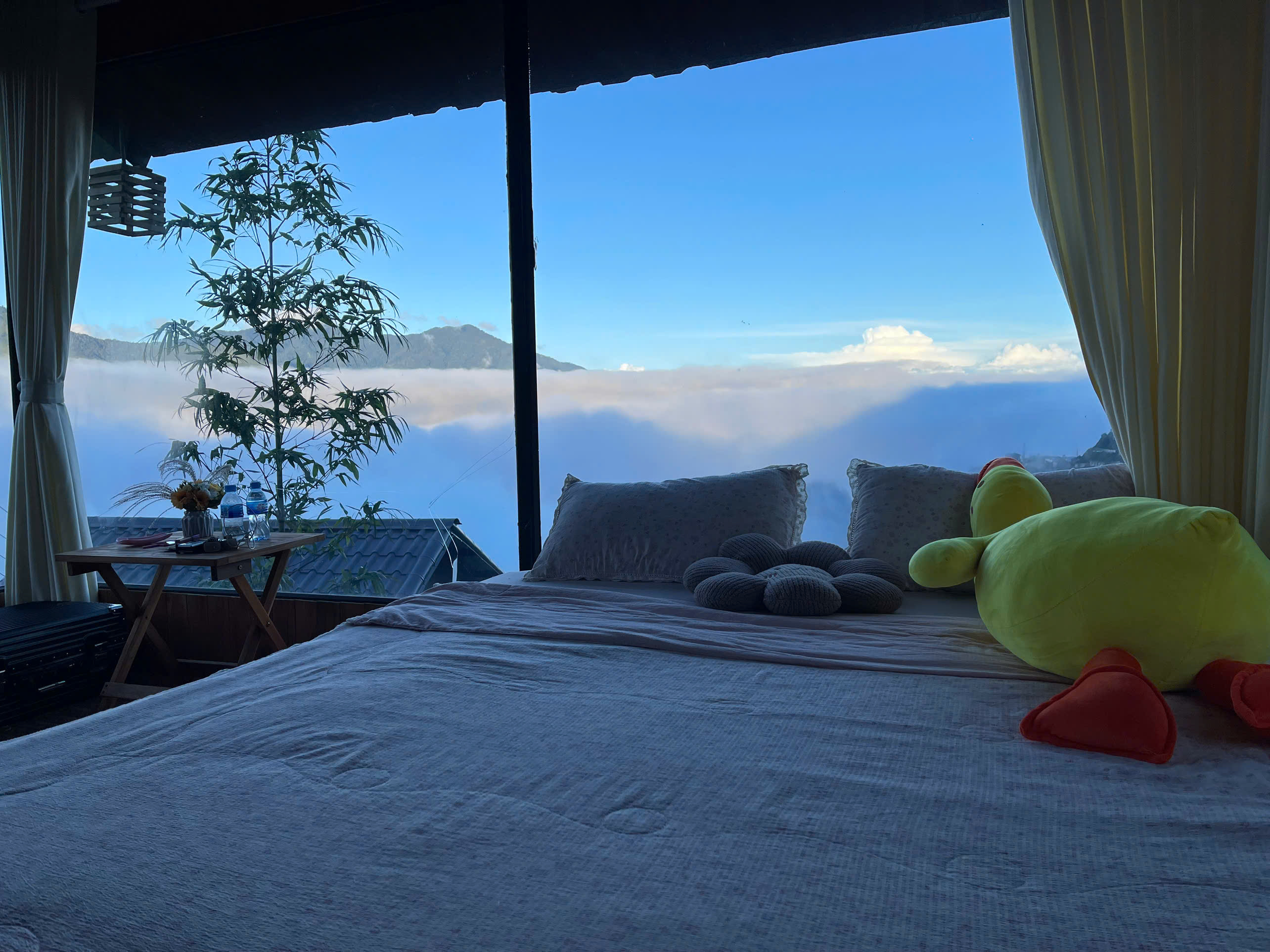 A Lầu Homestay 12