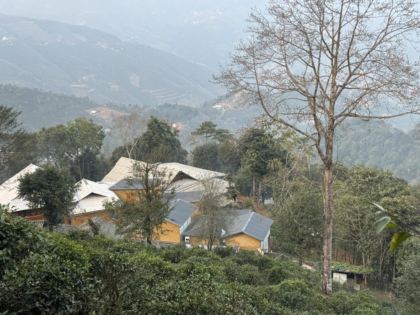 Dốc Mơ Homestay - Nhà trong Mây 3