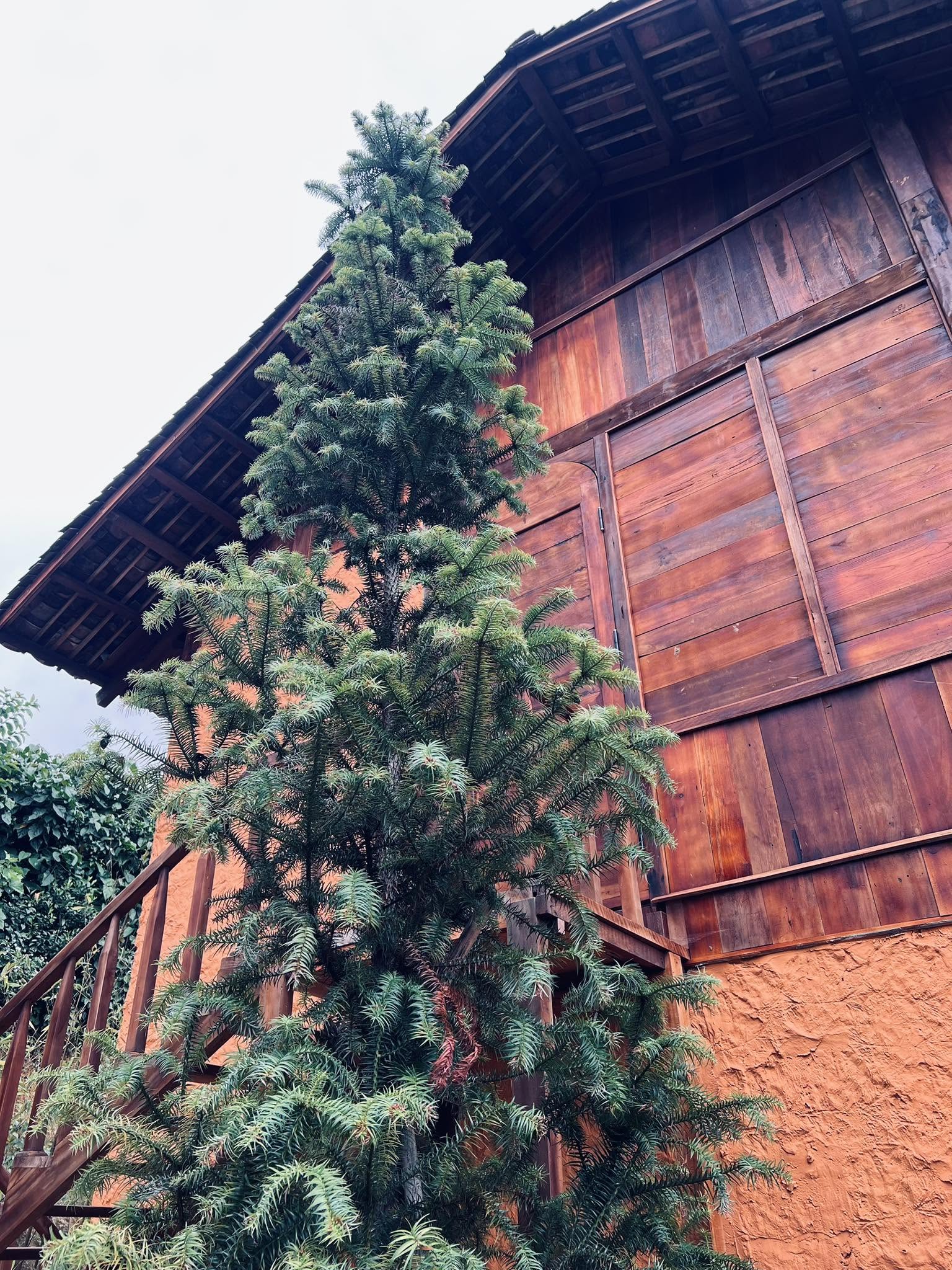 LAO XAN Boutique Stay 16