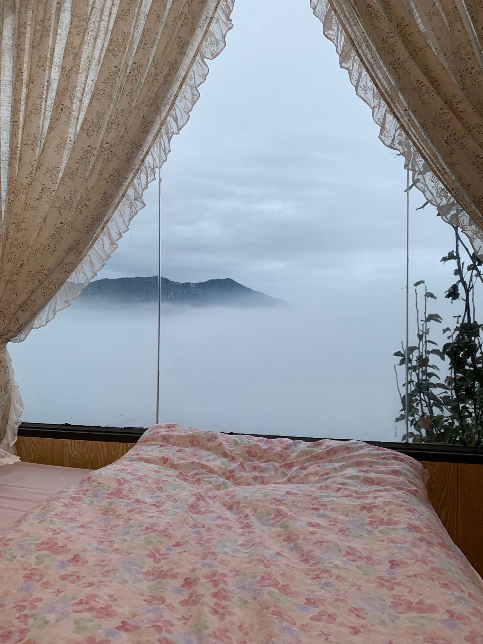 Mùa Thanh Hằng Homestay