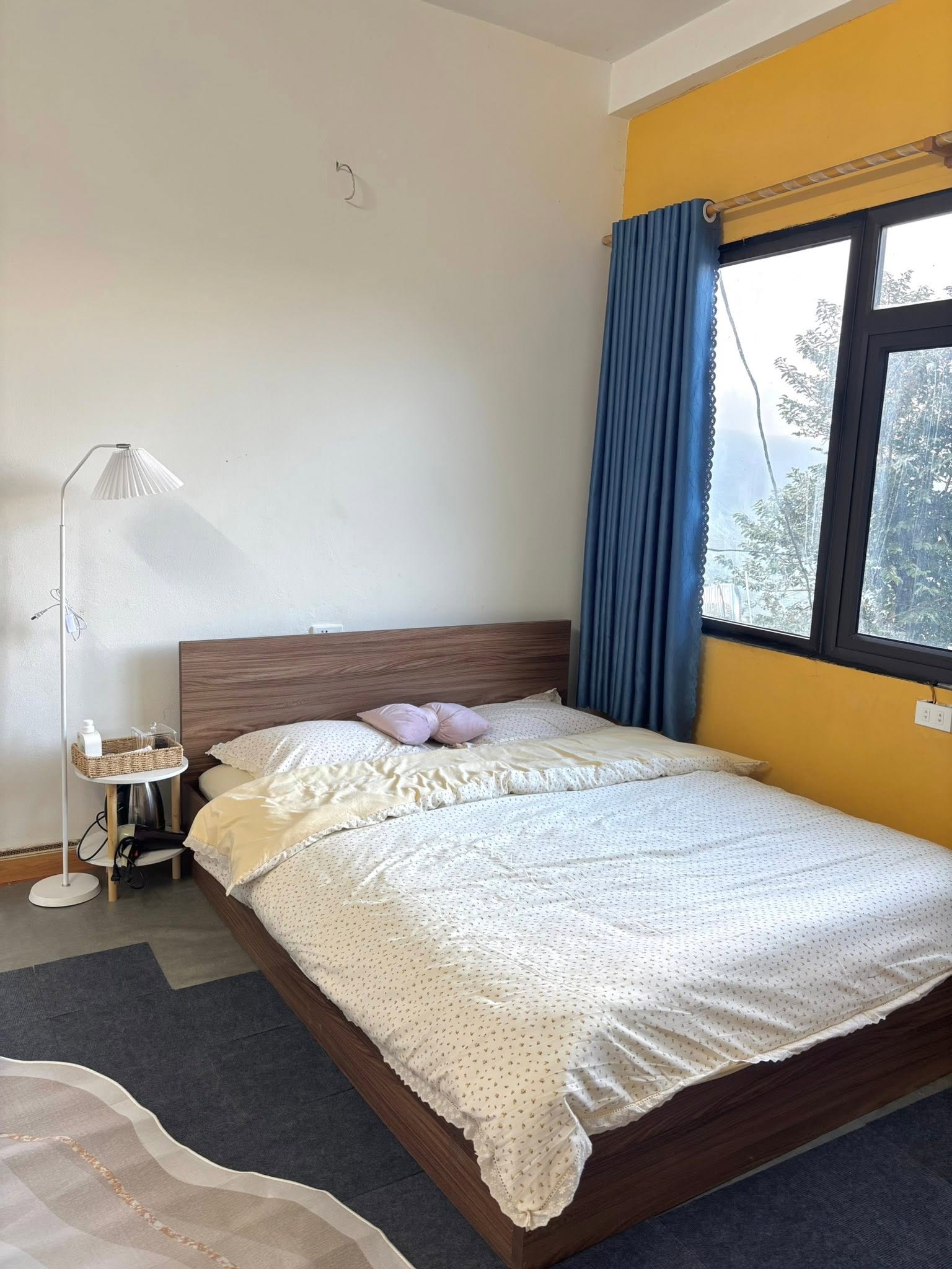 Tà Xùa Mây Homestay 5