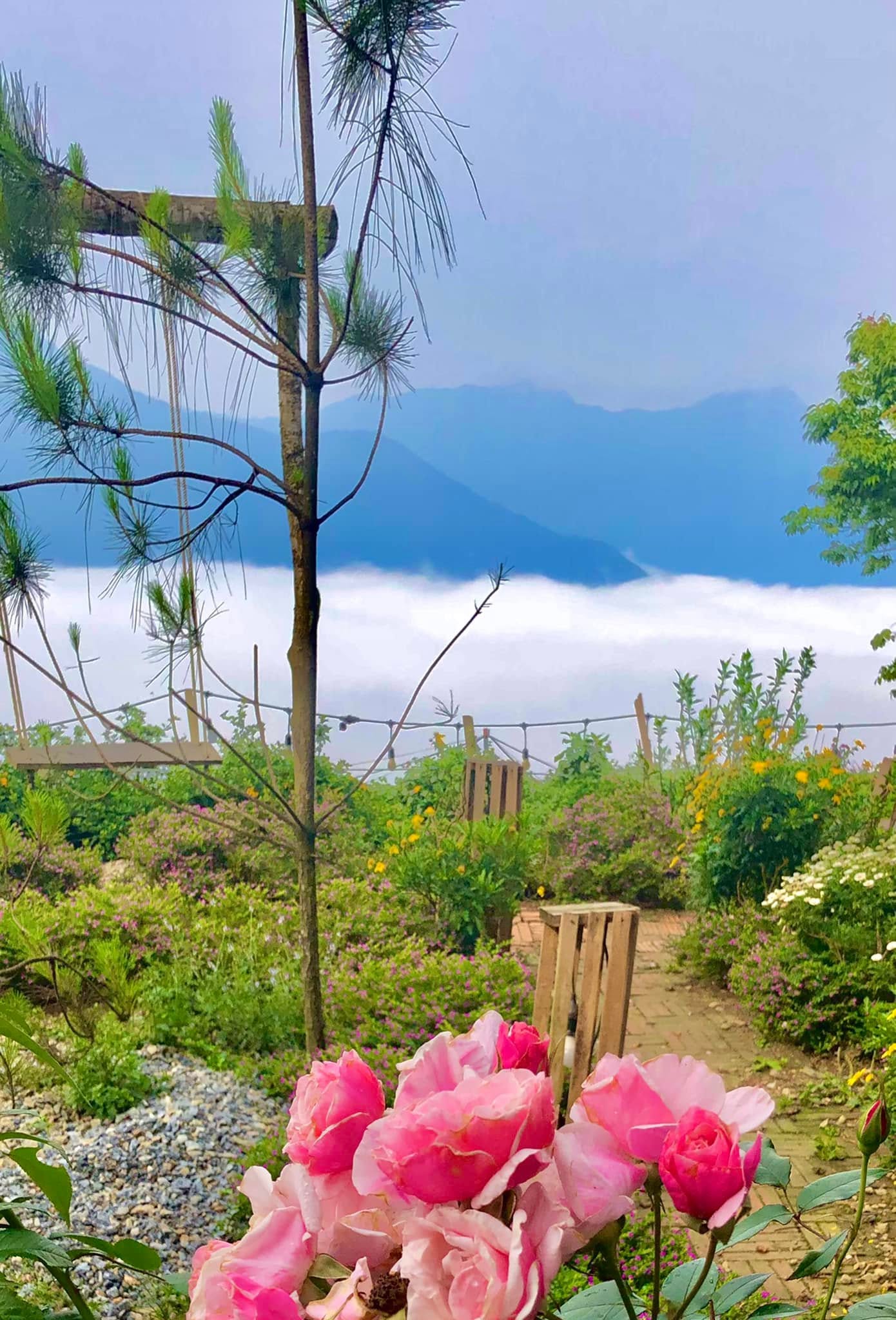 Mây Mơ Màng Homestay Tà Xùa 9