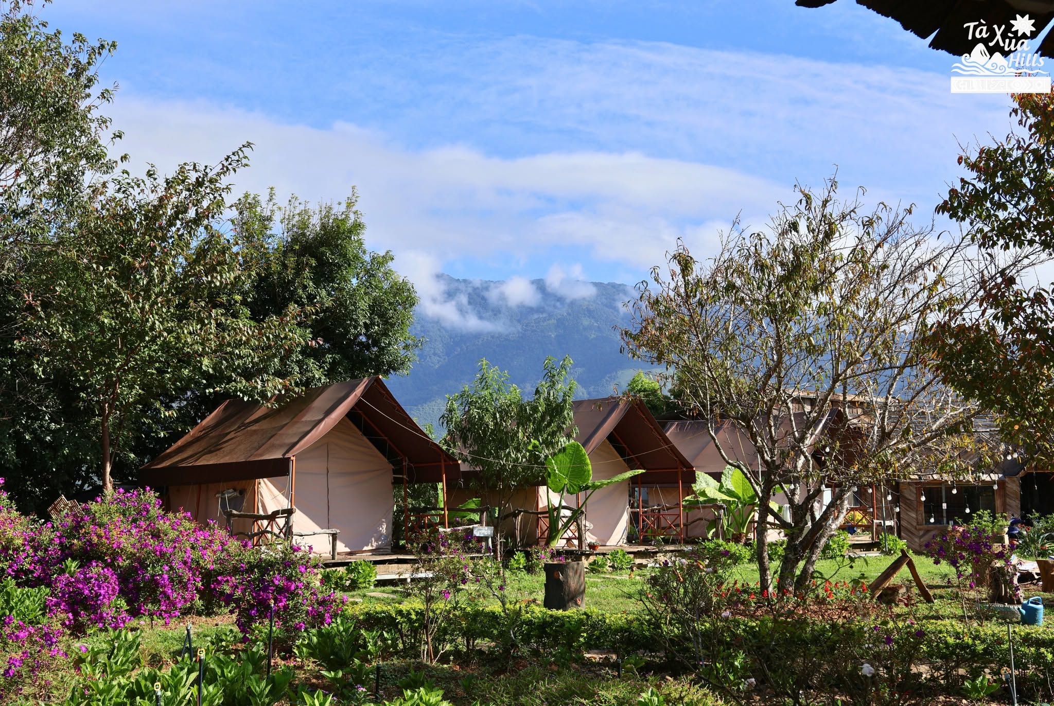 Tà Xùa Hills 5
