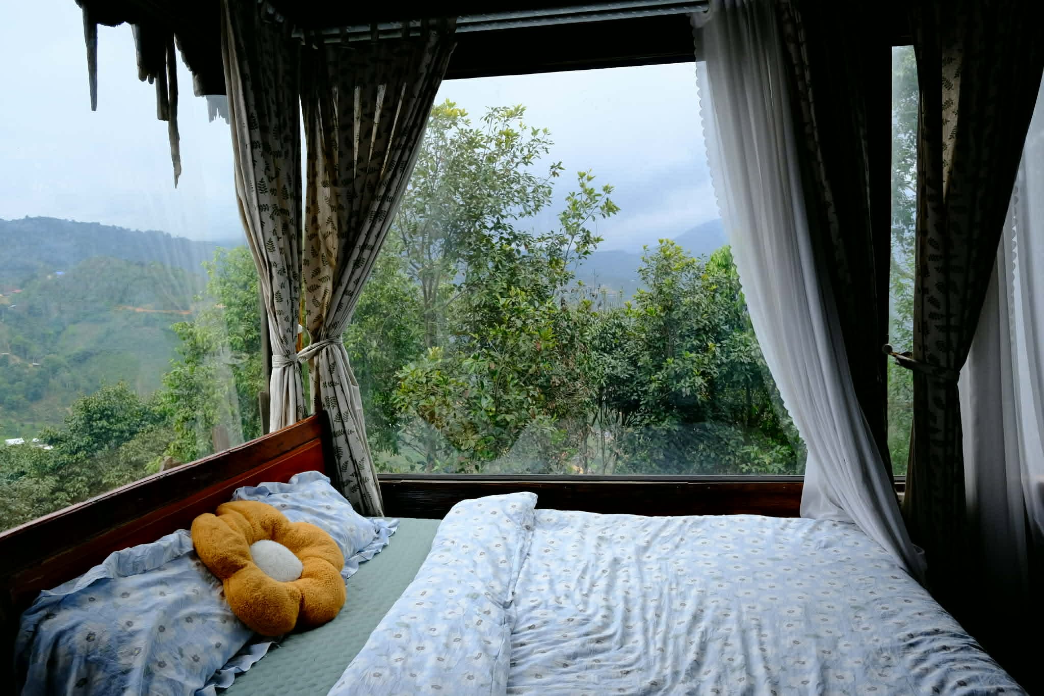 Tà Xùa Hills 11