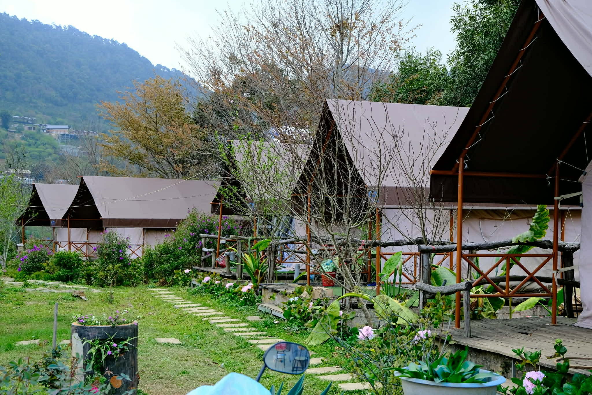 Tà Xùa Hills 13