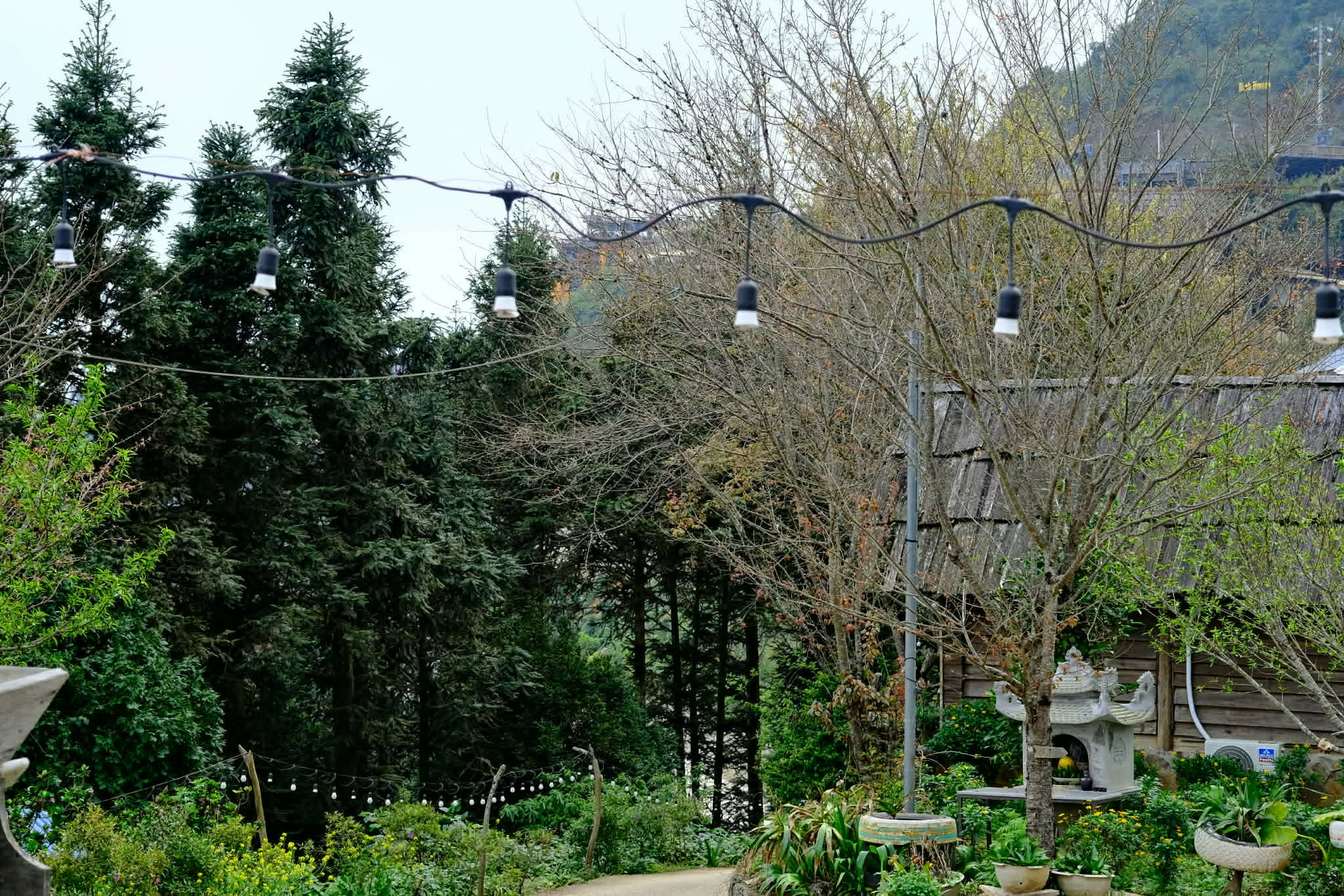 Tà Xùa Hills 20