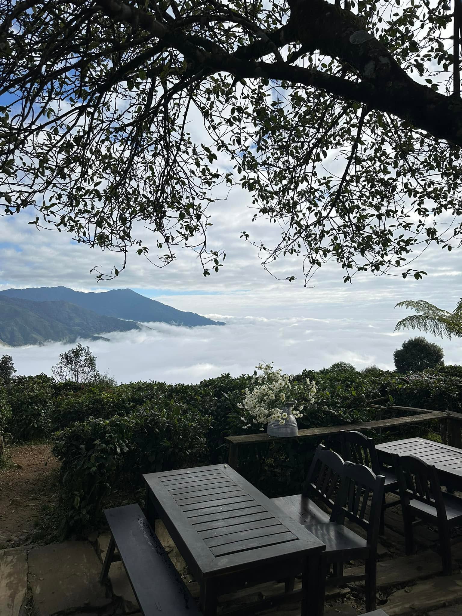 Cơm nhà Namiya - Đỉnh Gió 2